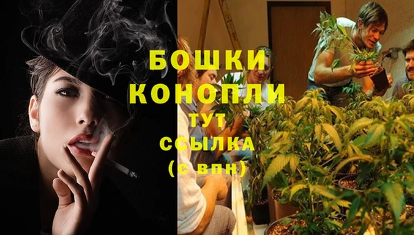 бошки Коряжма