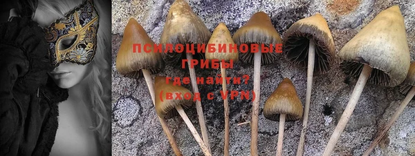 бошки Коряжма