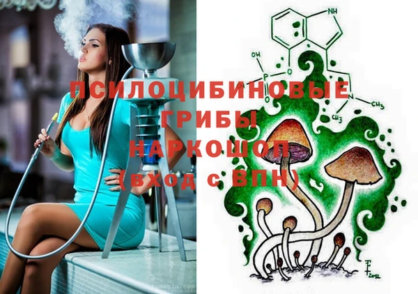 бошки Коряжма