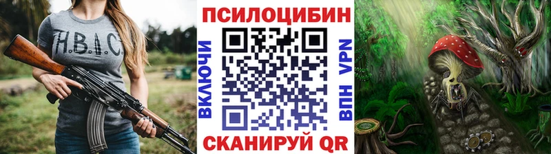 Псилоцибиновые грибы GOLDEN TEACHER  Ярославль 