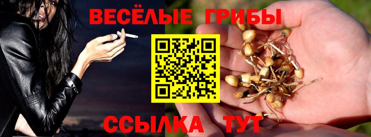 Галлюциногенные грибы мухоморы  Псилоцибиновые грибы Psilocybe  Ярославль  Вход с VPN 